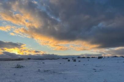 Çimsa, Bozüyük'te şehitliğe yakın sahadaki ruhsatı iptal ediyor