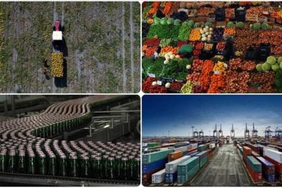 Gümrüklerde yeni düzenleme: Tarım ürünleri ithalatı