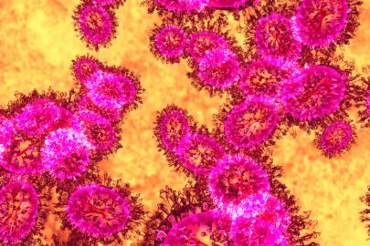 Nipah virüsü yayılıyor mu? Asya alarmda, havalimanları önlem alıyor