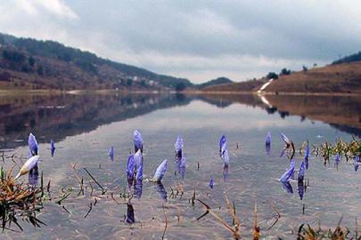Baharın ikinci müjdecisi yolda: Cemre suya düşecek