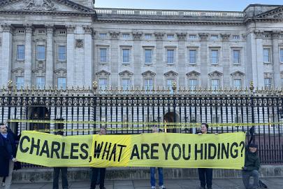 Buckingham Sarayı'nda "Epstein" protestosu 