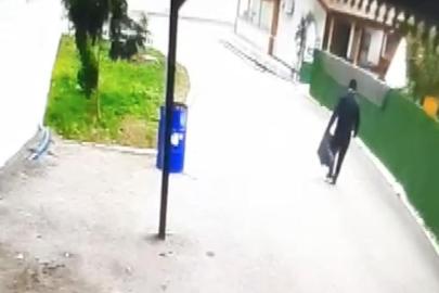 Devrilen ağacın altında kalmaktan son anda kurtuldu