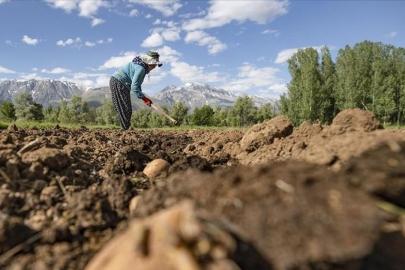 Kırsalda yaşayanların nüfusu azalıyor