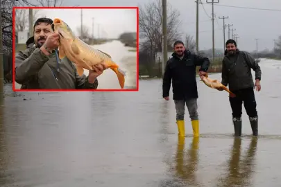 Meriç Nehri taştı, vatandaşlar tarla ve bahçelerde kilolarca balık yakaladı