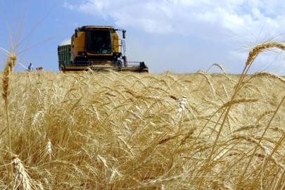 Tarım ÜFE ocakta aylık bazda arttı