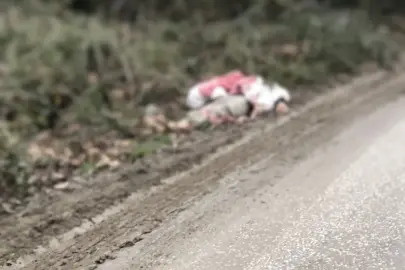 TIR'la getirilip, köye bırakılan düzensiz göçmenler yakalandı; 1 göçmen hipotermiden öldü