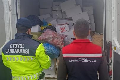 Baklavada kullanılacak 2 ton sağlıksız fıstık imha edildi