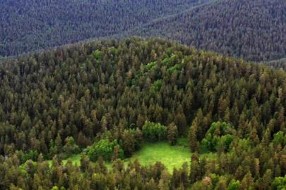 Milli parklar kanun teklifi TBMM'de kabul edildi