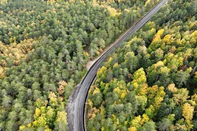 Ormanların bakımı ve gençleştirilmesine geçen yıl 2,3 milyar lira harcandı