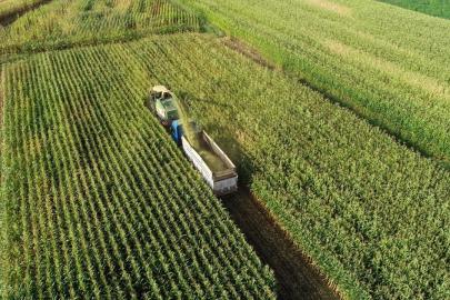 Tarım ÜFE şubatta arttı