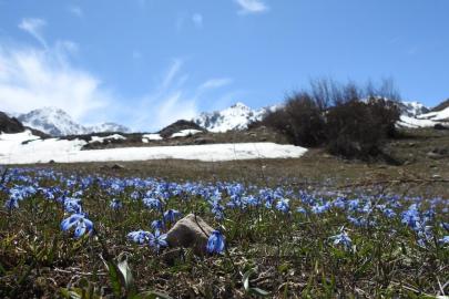 Türkiye'de, son 56 yılın en sıcak 3'üncü şubat ayı yaşandı