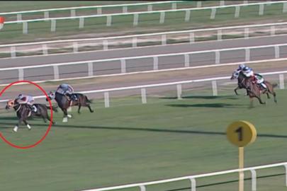 Yarış atı kavurma yapılan iş insanına da 132 bin TL ceza kesildi