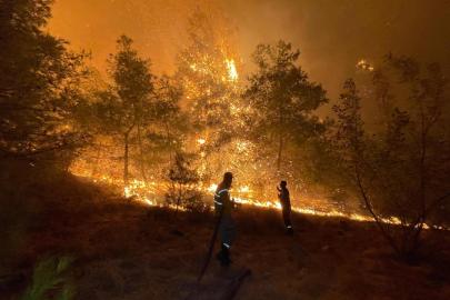 2026'te çıkan orman yangınlarının yüzde 96'sı insan kaynaklı