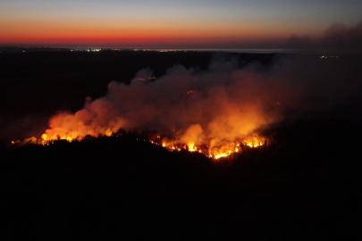 Beykoz'da orman yangını: Alevler yeniden yükseldi