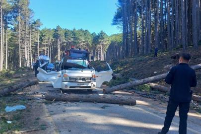 Bursa'da kesilen ağaç seyir halindeki kamyonetin üzerine devrildi: 1 ölü, 2 yaralı