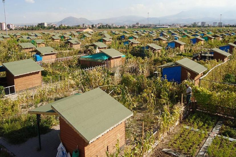 Gerçek hobi bahçeleriyle villalar ayırt edilecek