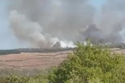 İstanbul'da ormanlık alanda yangın