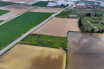İzmir'de sağanak: Tarım arazileri sular altında