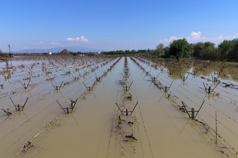 Manisa'da bağlar su altında kaldı