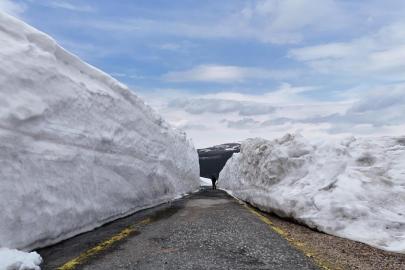Orduda bahar yerine kış: 4 metrelik karla mücadele