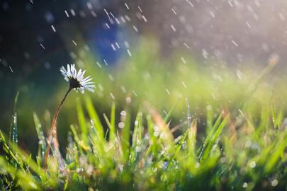 Son yağışlar tabloyu değiştirmedi: Kuraklık sürüyor
