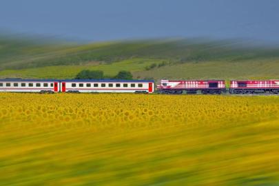 TCDD otla mücadele kapsamında tren yollarında ilaçlama yapacak