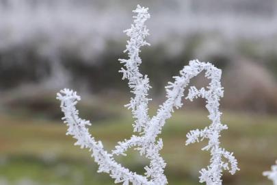 Zirai don ve yağış bekleniyor: 44 il için sarı uyarı