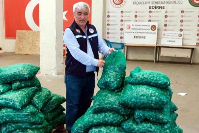Kapıkule'de 760 kilogram kum midyesi ele geçirildi