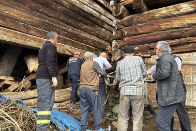 Kastamonu'da çöken ahırın enkazı altında kalan kadın öldü