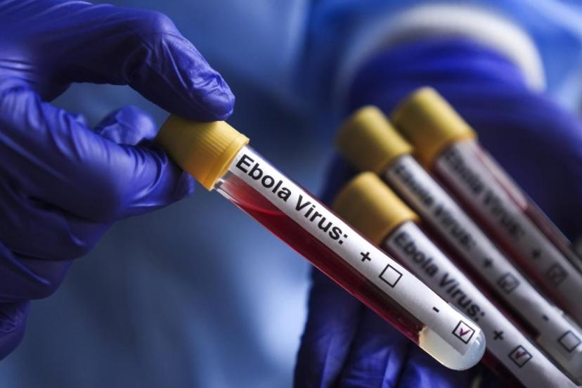 Sınır Tanımayan Doktorlar: Ebola daha önce benzeri görülmemiş bir hızla yayılıyor
