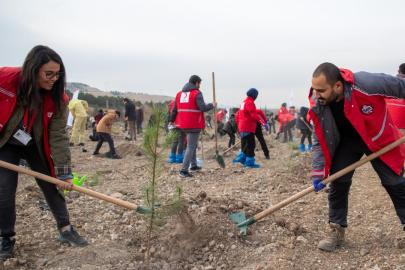Hastaya Kan, Ormana Can projesiyle 4,7 milyon fidan toprakla buluştu