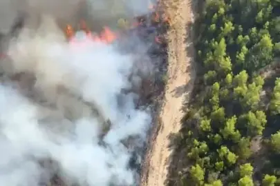 Antalya Serik’te orman yangını