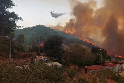 Antalya'da orman yangını. Alevler rüzgarın etkisiyle büyüdü