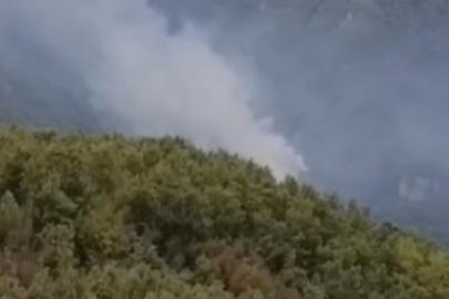 Hatay'da orman yangını. Ekipler müdahale ediyor