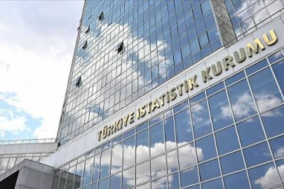 Resmi Gazete'de yayımlandı. TÜİK Başkan Yardımcısı değişti