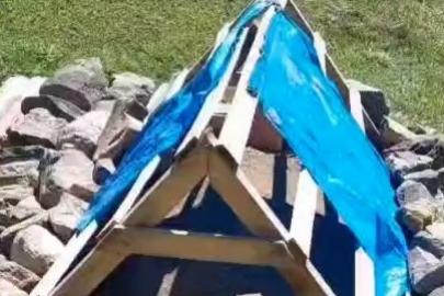 Rizeli vatandaşın ayı kabusu: Çareyi mezara köpek sesi kurmakta buldu